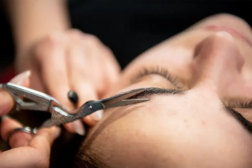 φρύδια και φλεφαρίδες eyebrows and eyelashes
